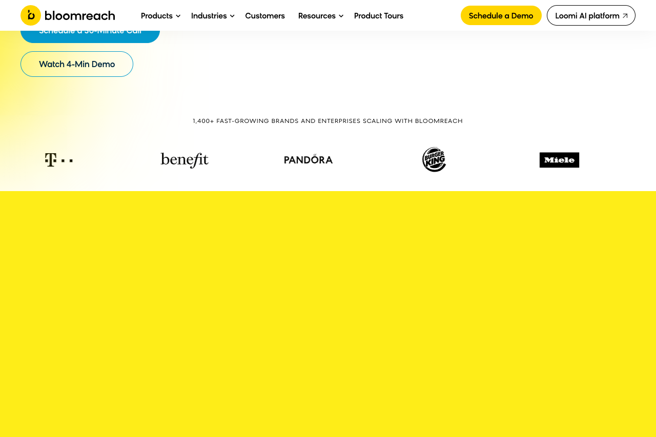 bloomreach engagement